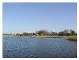 Thatched boat houses on Hickling Broad © S C Tennant