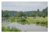 The River Waveney (Outney Common, Bungay, Suffolk) © Cameron Self