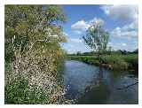 The Avon near Ryon Hill  Copyright Tim Heaton and licensed for reuse  under this Creative Commons Licence