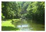 Bridgewater canal passing through Grappenhall Copyright Laura Porter and licensed for reuse  under this Creative Commons Licence