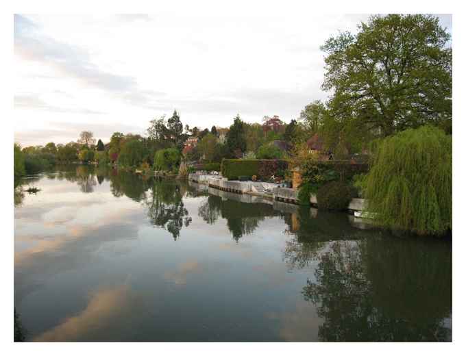 River mole © Stephen Burden