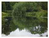 If you turn left the river runs wide and deep with Friars meadow on your left