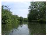 Kennet & Avon west of Theale Swing Bridge