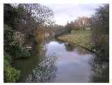 Old Rive Nene, March © betameme