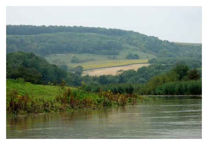 River Arun near South Stoke