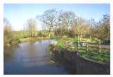 Bridgewater & Taunton Canal ©: Rosina Redwood 2006