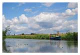 The river at Henny © Simon Ward