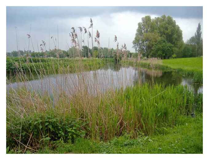 River Stour in Nayland © Running in Suffolk