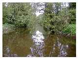 River Stour in Nayland © Running in Suffolk