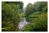 River Arun at Stopham © DaveCox