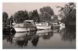 River Stour in Kent © Keith Marshall