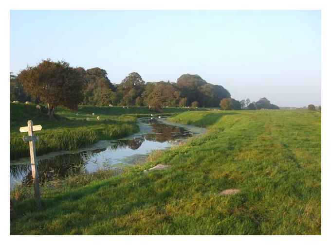 Royal Military Canal near Winchelsea © twilight bear