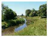 Royal Military Canal near Winchelsea © Pat_Linsley