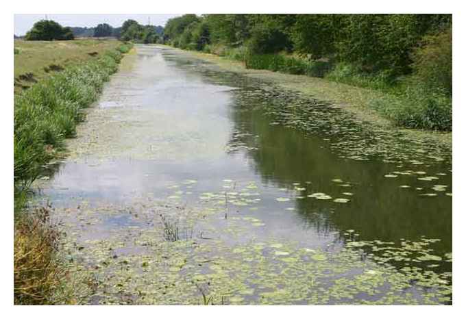The Canal near Rye © Alex Wolfson (subject to the GNU Free Documentation Licence)