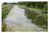 The Canal near Rye © Alex Wolfson (subject to the GNU Free Documentation Licence)