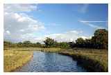 Ealing Marshes © Joe Dunckley