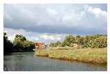 Ealing Marshes © Joe Dunckley