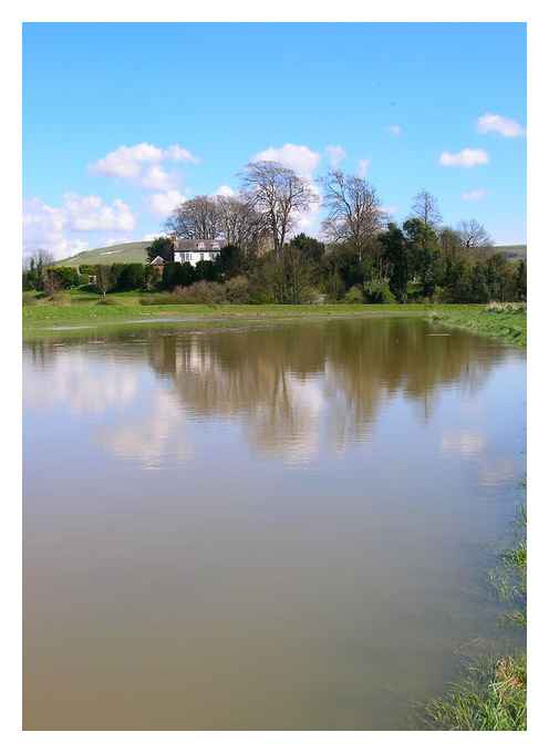 Looking downstream with Upper Beeding's church of St Peter just visible through the trees.