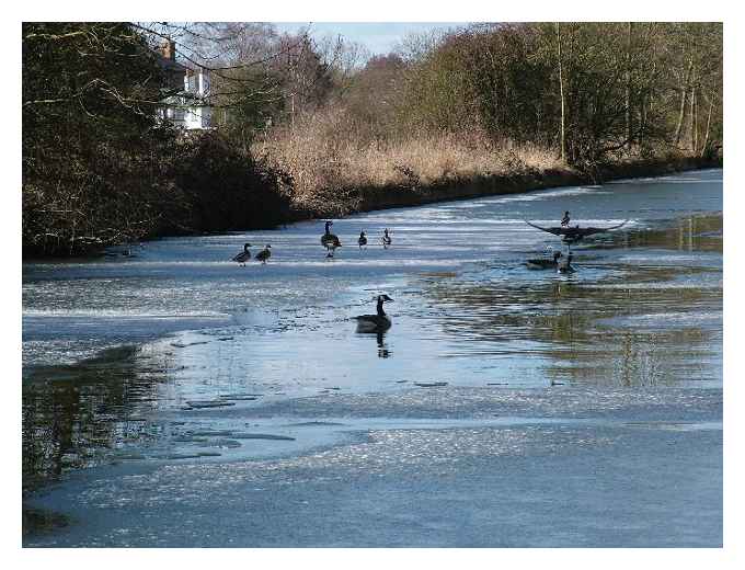 Frozen canal at the Aquadrome 