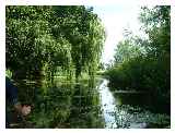 Idyllic River 