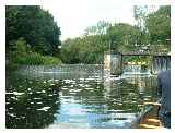 The weir at the end of the left hand branch