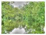 Colne Valley Country Park © Steve James