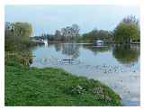 River Great Ouse (St Neots) © Luara McLeod 