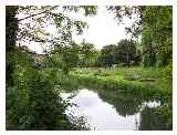 River at Bell Meadow  Sky Blue Pasture, Chelmsford, Essex © Loz Flowers 