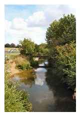 Low Section Of River Chelmer © Caroline