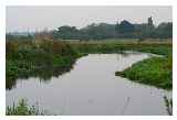 Flood Meadows  River Chelmer © Caroline