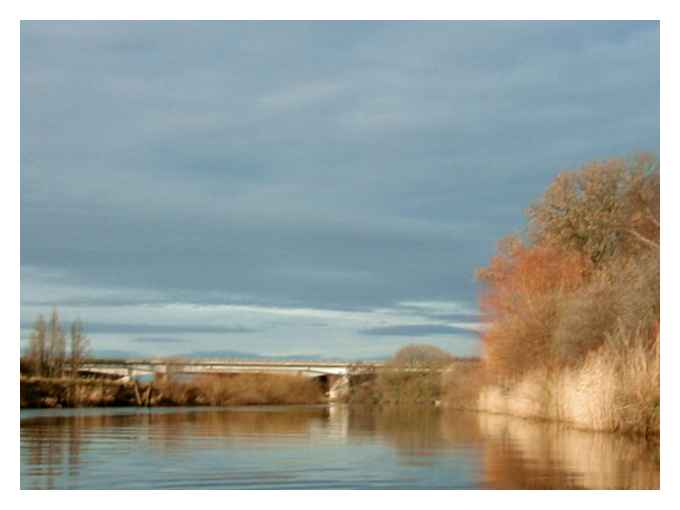 Early morning on the River Ure 