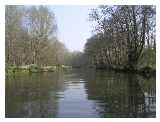 The Wey below Bowers Lock 