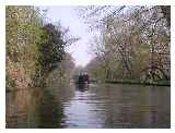 Following a narrowboat in the lock cut. 