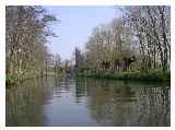 The River Wey bellow Stoke Lock 