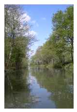 ...and more woodland