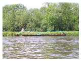 Rowing Skiffs