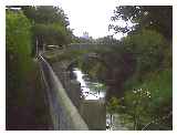 The river at Earsham near Bungay © beeskam