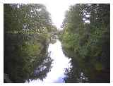 The river at Earsham near Bungay © beeskam