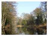 The canal at Brookwood