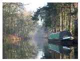 The canal at Mytchett