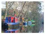 Moored boats at Frimley Green
