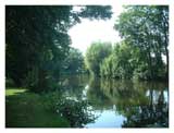 River Wensum © Robi centauri