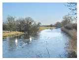 Shropshire Union Canal © Neil Birchall