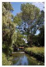 Fish Ladder Falls © SussexWalkabout