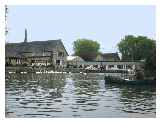 Swans at Lechlade