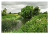 The River Thames near Castle Eaton © John Menard