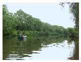 The Thames is wider here