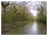 Bank erosion near Brinklow © Dick Penn Collective Commons