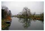 Little River Ouse Brandon Suffolk © David Striker