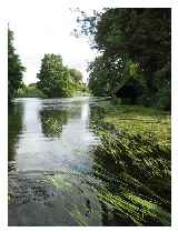 The Boathouse